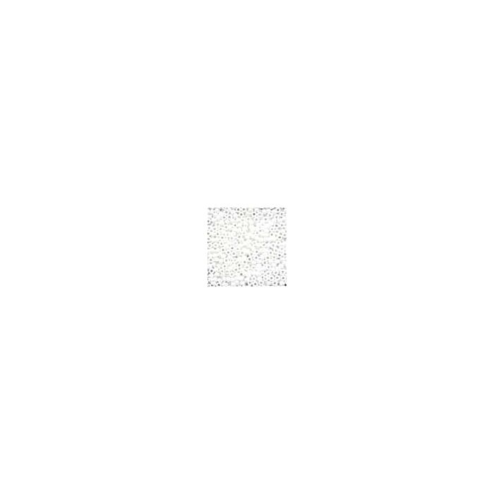 Crayon Seed Beads 02058 - Crayon White