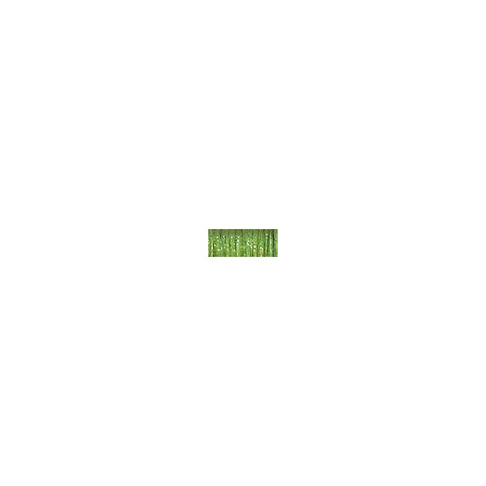 Kreinik #8 - 5535 Gourmet Oregano