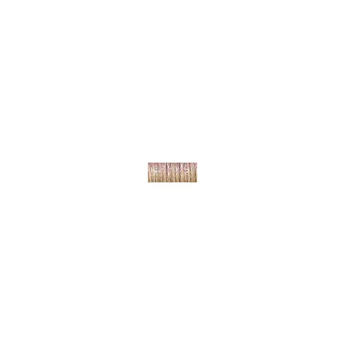 Kreinik #8 - 5550 Gourmet Nutmeg