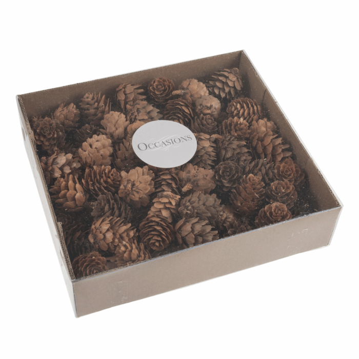 Natural Pinecones