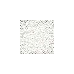 Glass Seed Beads 00479 - White