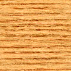 010 - Apricot