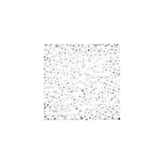 Crayon Seed Beads 02058 - Crayon White