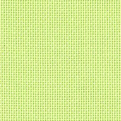 20 Count Bellana Lime Green