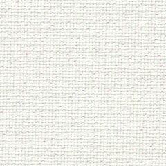 20 Count Aida Snow Glitter