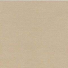 20 Count Aida Taupe