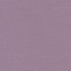 20 Count Aida Lavender