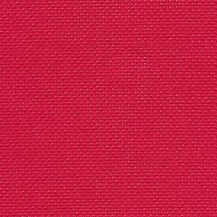20 Count Aida Raspberry