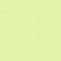 14 Count Stern Aida Apple Green