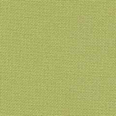 25 Count Lugana Sage Green