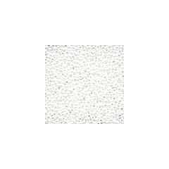 Petite Glass Beads 40479 - White