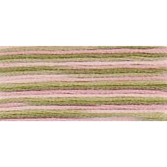 DMC Coloris - 4500