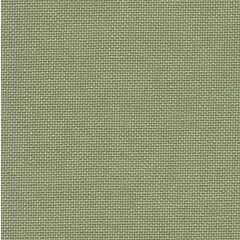 32 Count Belfast Olive Green