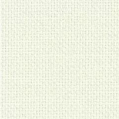 DMC Marble Green 14ct Aida (3024) - Off Cut - 110x27cm