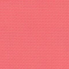 14 Count Stern Aida Coral