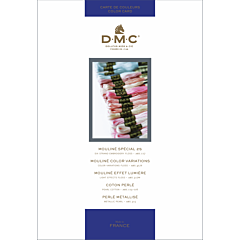 DMC Shade Card