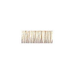 1/8in Ribbon - 5555 Oyster