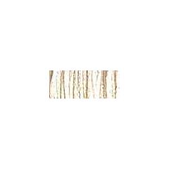 Canvas #24 Braid - 5555 Oyster