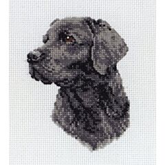 PCE218 - Black Labrador