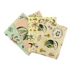 RHS FQ Bundle - Bloom