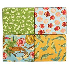 RHS FQ Bundle - Tropical