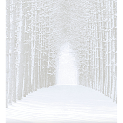 Fabric Flair 14ct Aida Winter Forest.