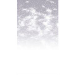 Fabric Flair 14ct Aida Snowy Days Grey Portrait