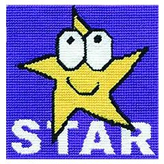 CK044 - Star Gobelin Printed Tapestry Starter Kit - 20% off RRP