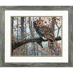 Dimensions The Wise Owl - Cross Stitch Kit