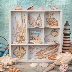 CrossStitcher Project Pack - Issue 423 - Beachcomber Bliss Shell Tray