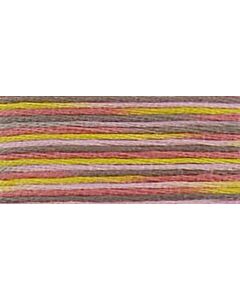 DMC Coloris Stranded Cotton Thread - 4509