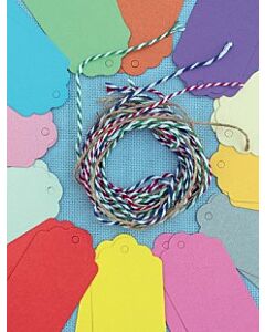 Plain Tags with Twine 